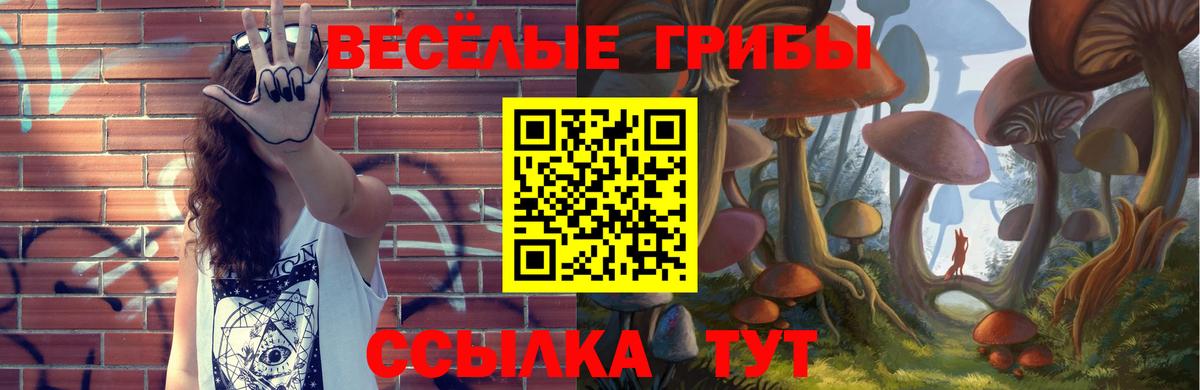 Галлюциногенные грибы ЛСД  Галлюциногенные грибы Psilocybe  Петропавловск-Камчатский  Вход с VPN 